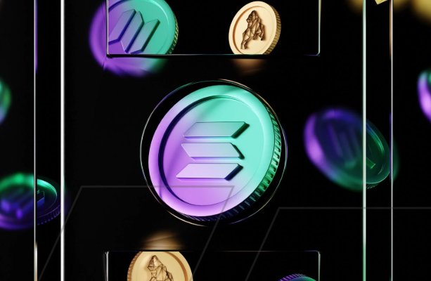 Navigating the Solana Ecosystem: How to Buy and Trade Dege Solana