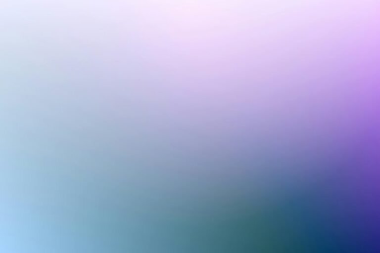 phone number verification check